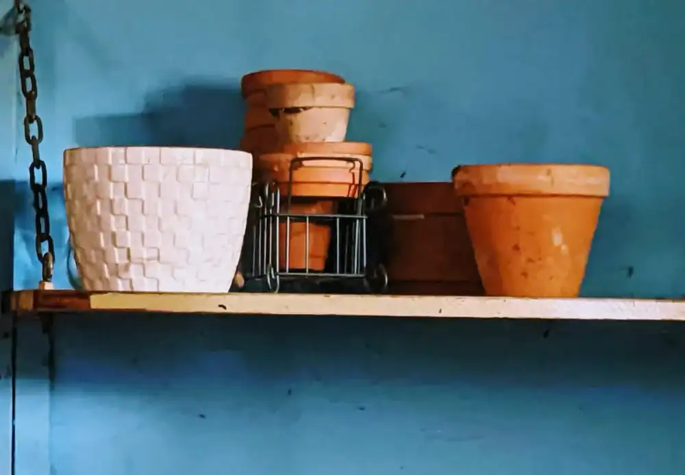 Clay flower pots on a rustic wooden shelf against a blue wall.